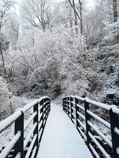 Brockle Beck Bridge in the snow